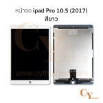 หน้าจอ ipad Pro 10.5 (2017)
