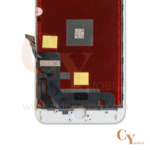 หน้าจอ phone 8 Plus งานแท้